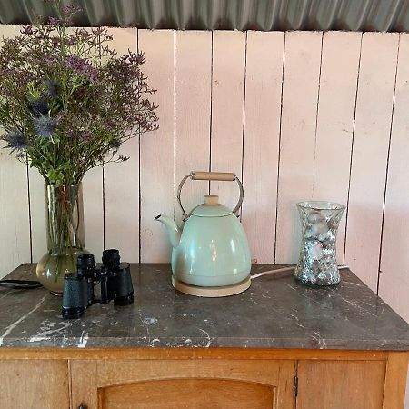 Fen Meadows Glamping - Luxury Cabins And Bell Tents 剑桥 外观 照片