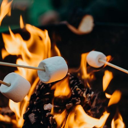 Fen Meadows Glamping - Luxury Cabins And Bell Tents 剑桥 外观 照片
