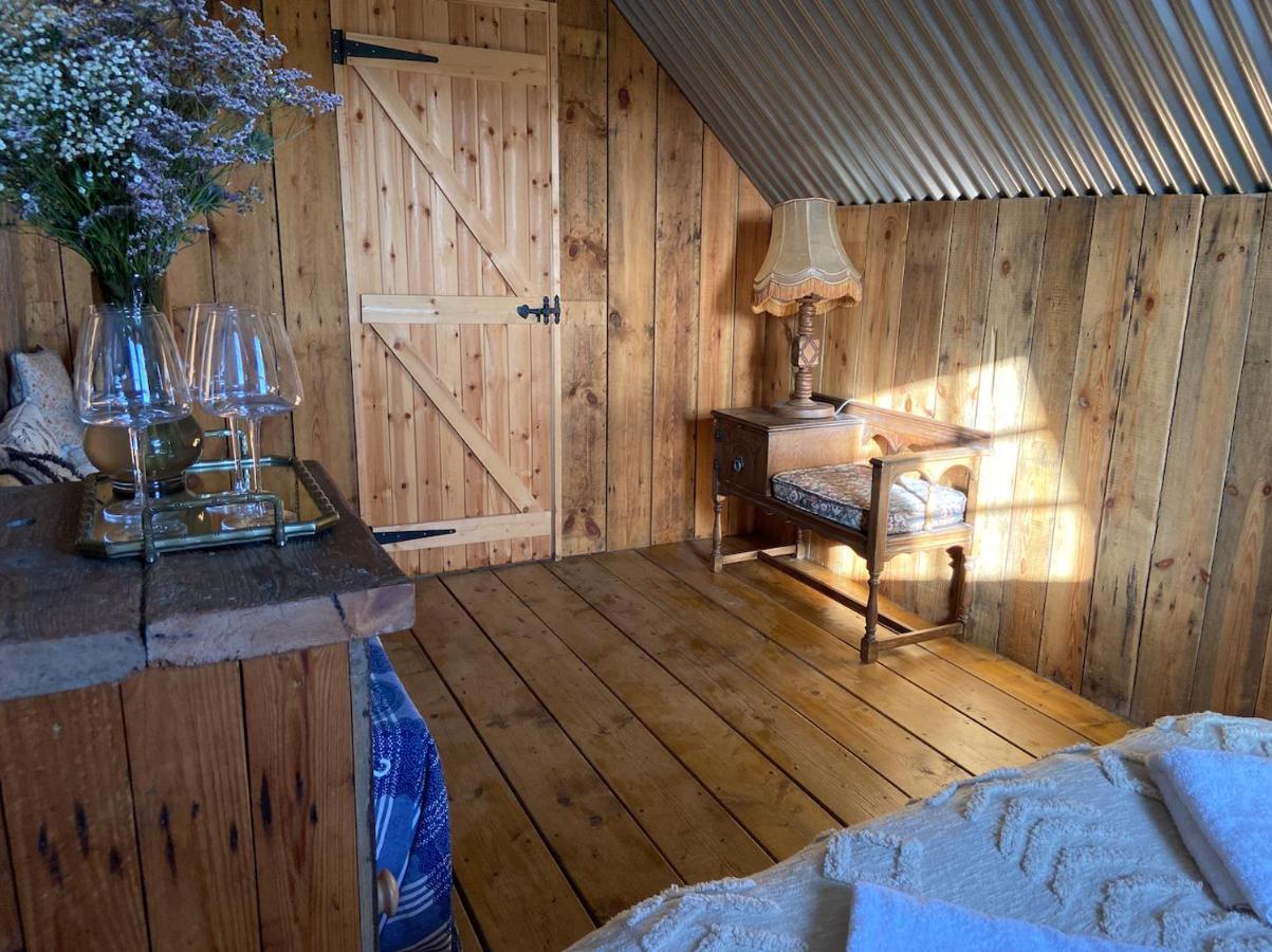 Fen Meadows Glamping - Luxury Cabins And Bell Tents 剑桥 外观 照片