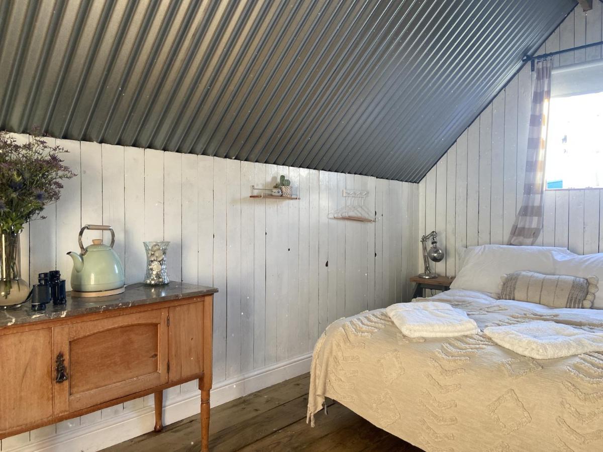 Fen Meadows Glamping - Luxury Cabins And Bell Tents 剑桥 外观 照片