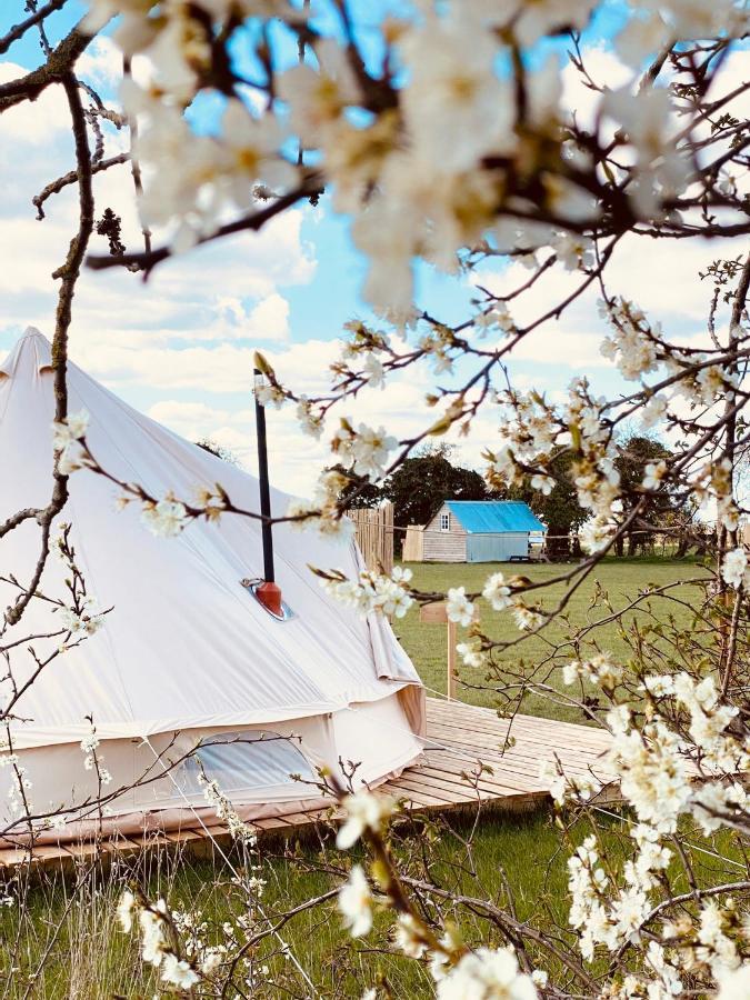 Fen Meadows Glamping - Luxury Cabins And Bell Tents 剑桥 外观 照片