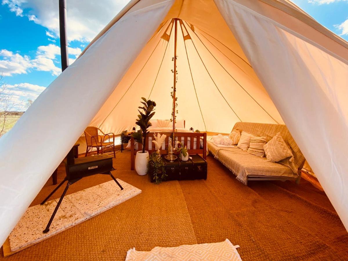 Fen Meadows Glamping - Luxury Cabins And Bell Tents 剑桥 外观 照片
