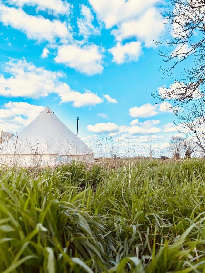 Fen Meadows Glamping - Luxury Cabins And Bell Tents 剑桥 外观 照片
