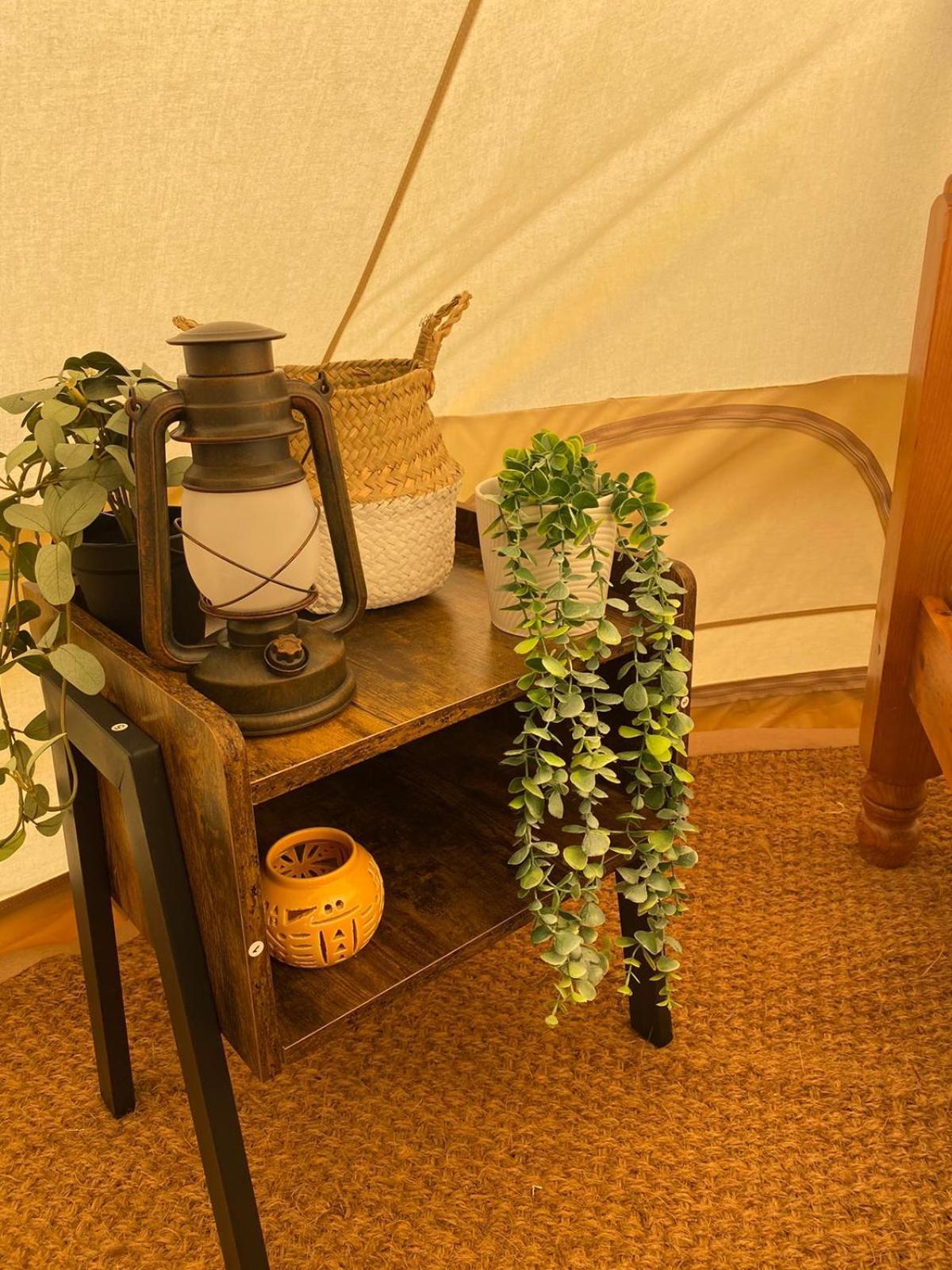 Fen Meadows Glamping - Luxury Cabins And Bell Tents 剑桥 外观 照片